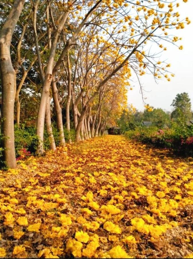 Denchai City Resort เด่นชัยซิตี้ รีสอร์ท プレー エクステリア 写真
